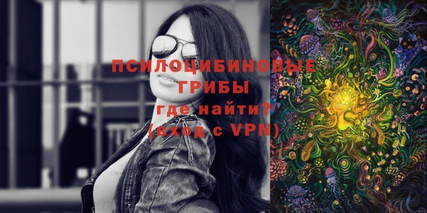 шишки Лихославль