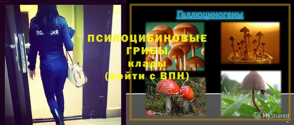 прущий лед Липки