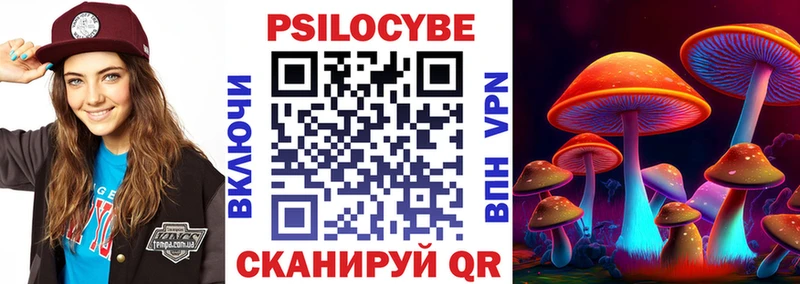 дарнет шоп Белорецк Псилоцибиновые грибы мицелий