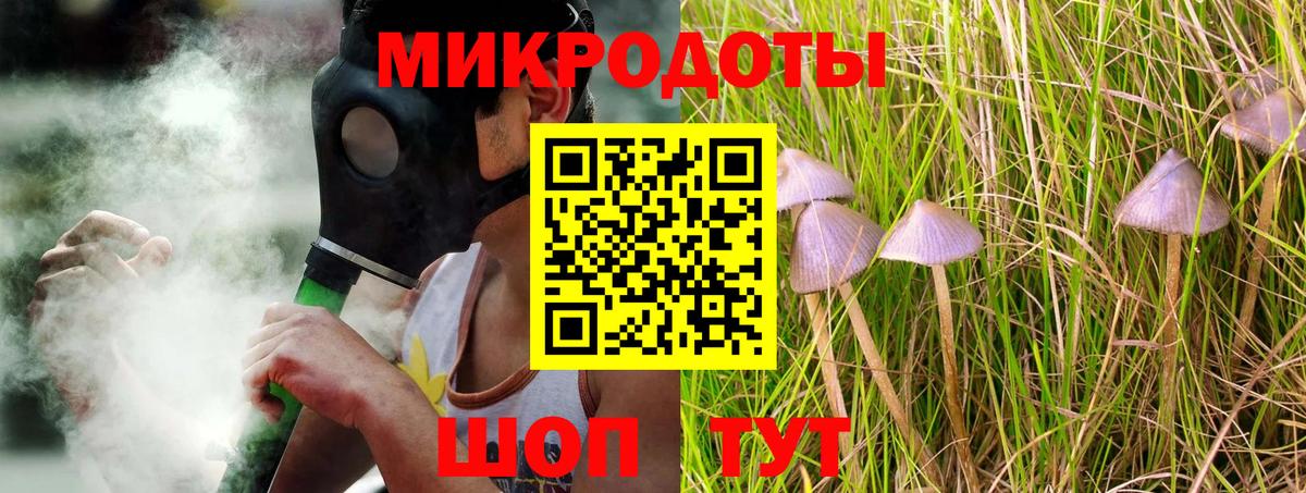 Псилоцибиновые грибы Cubensis Белорецк