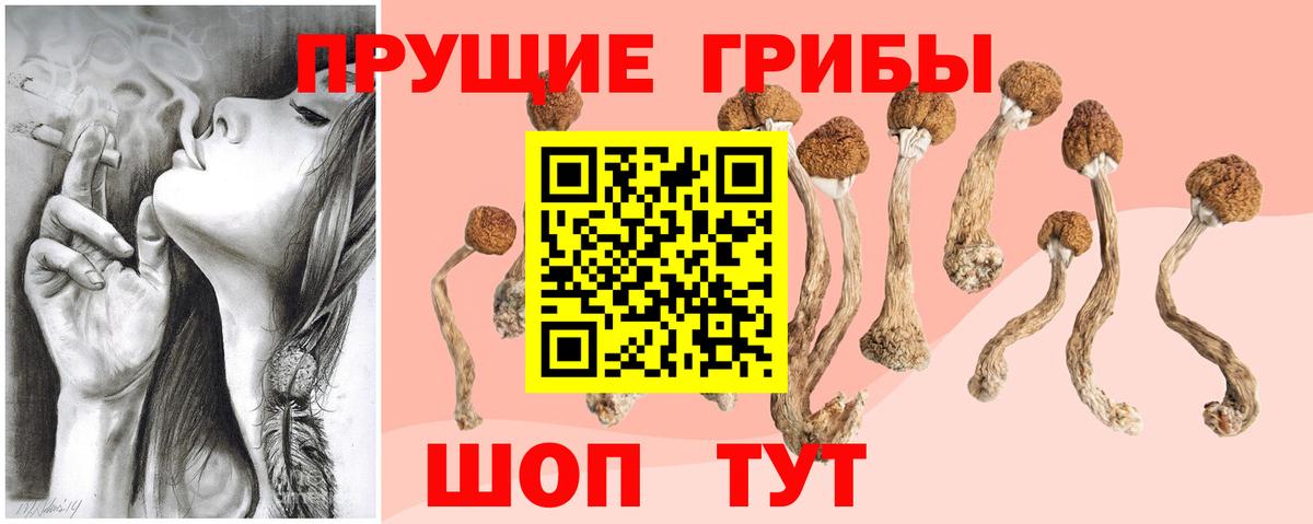 Псилоцибиновые грибы Cubensis  Вход с VPN  Белорецк 