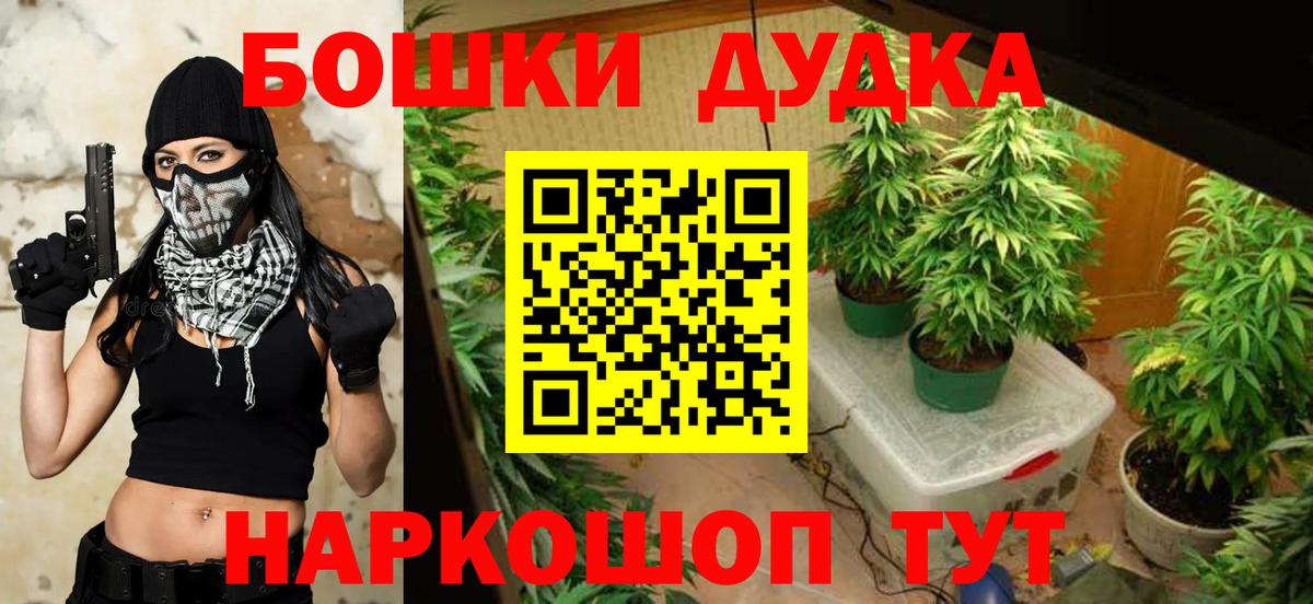 Шишки марихуана семена  Марихуана тримм  Белорецк  Бошки марихуана планчик 